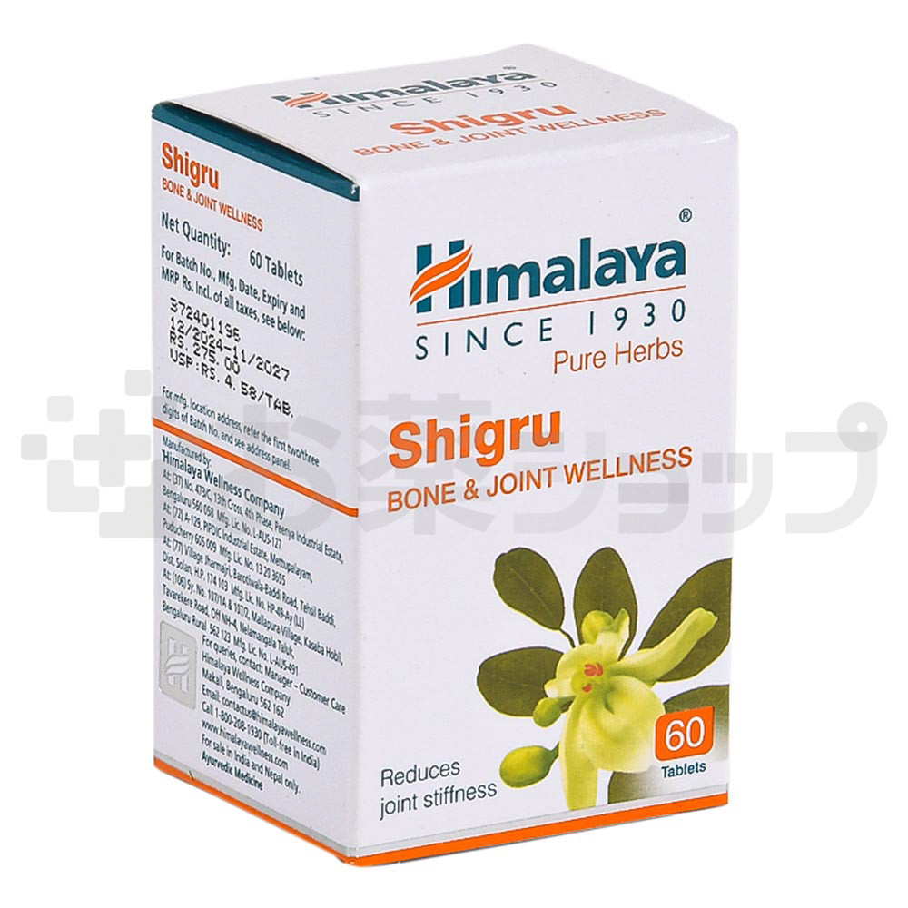 シグル (SHIGRU) 2