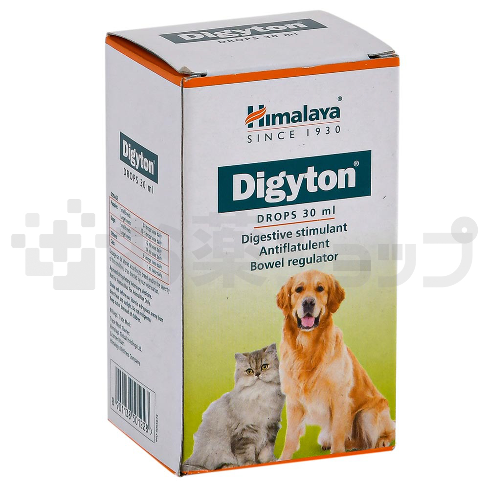 ディジトン経口液 (DIGYTON ORAL DROPS) 2