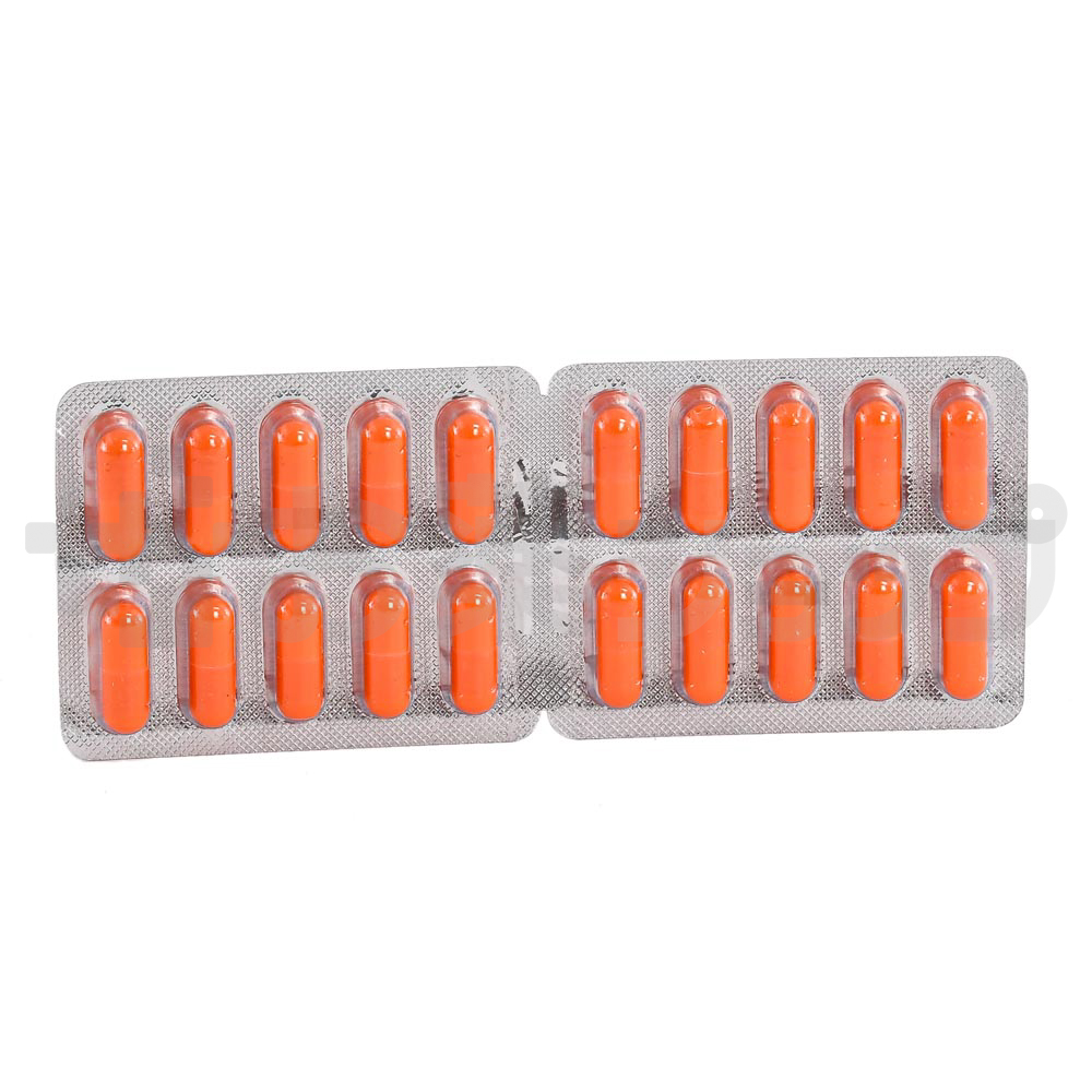 カンピシリン500 MG (CAMPICILLIN 500 MG) 3