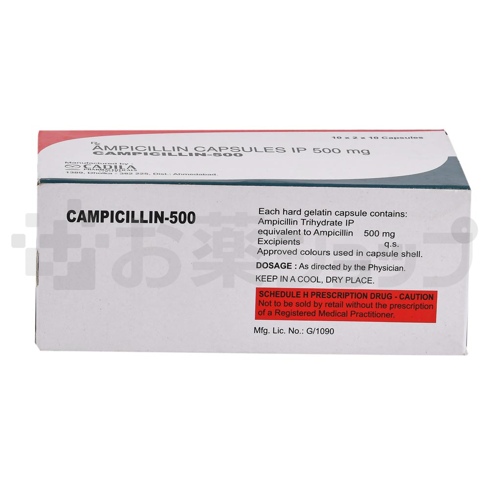 カンピシリン500 MG (CAMPICILLIN 500 MG) 4