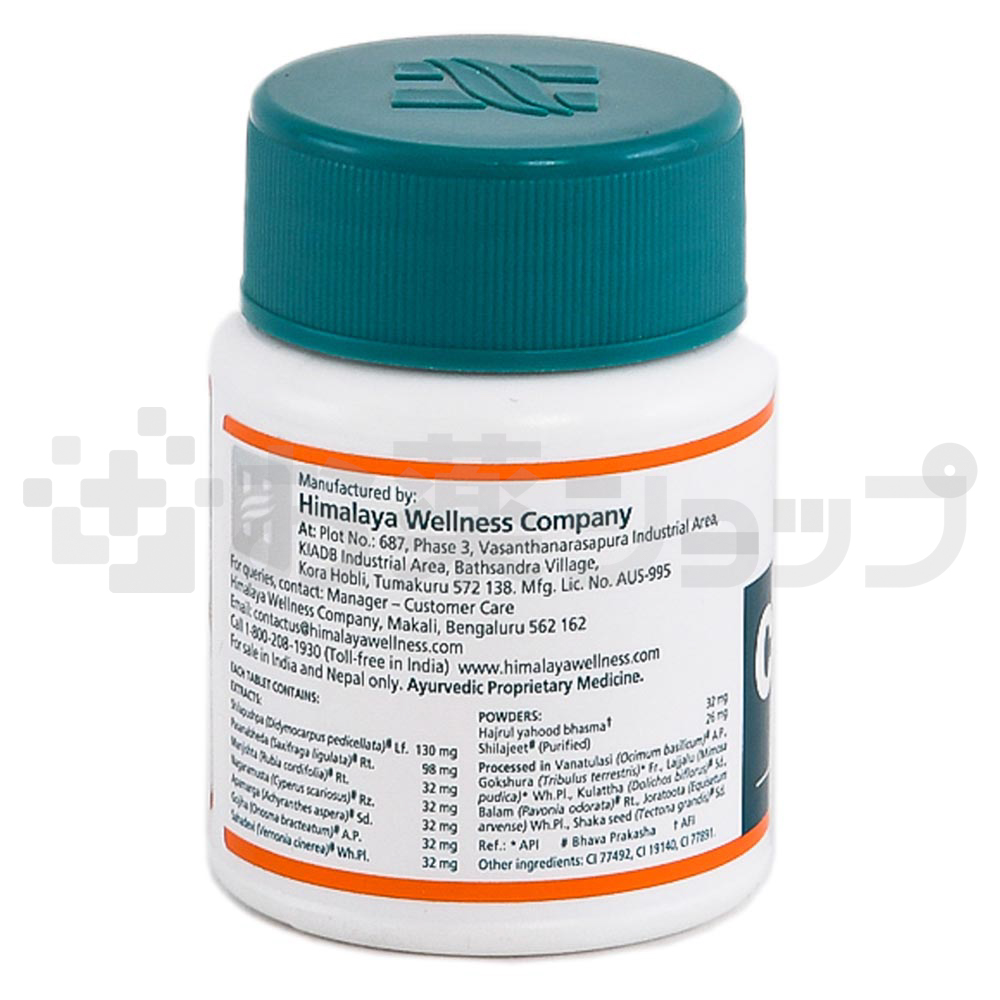 シストーン (CYSTONE) 2