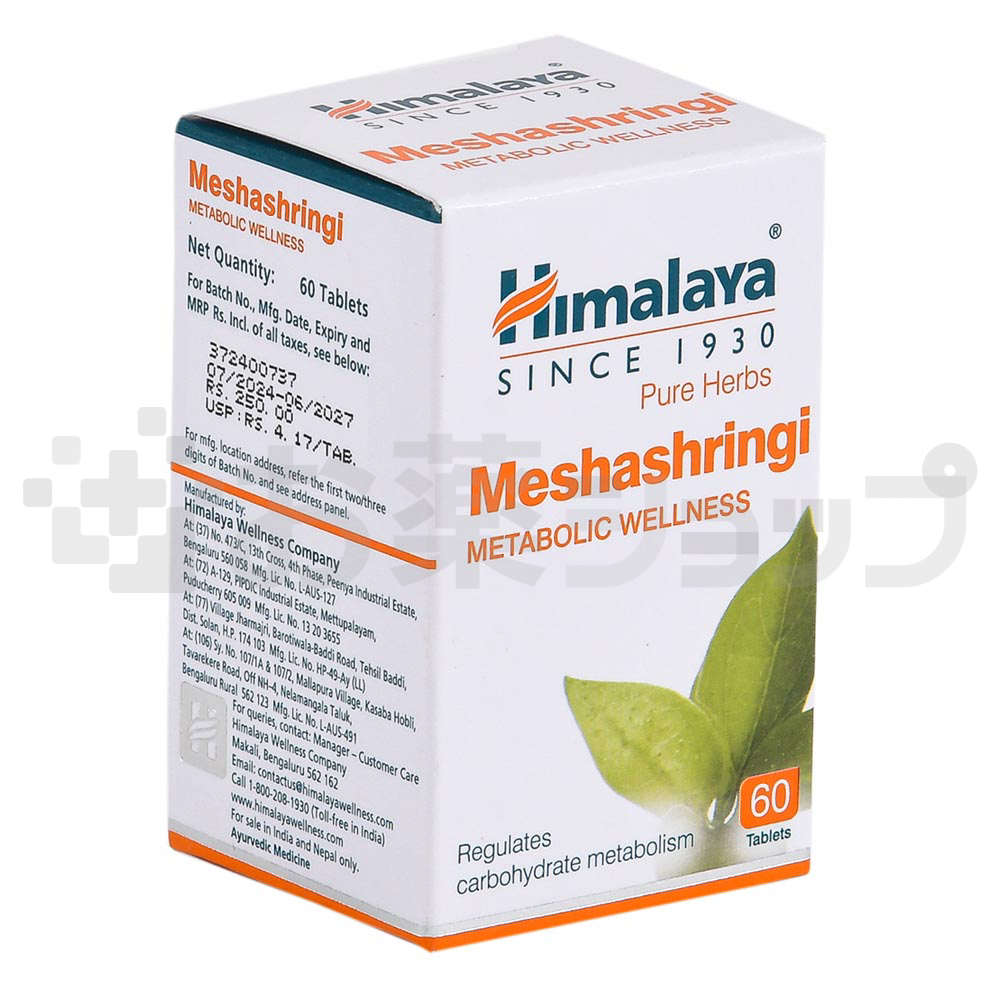 メシャシュリンギ (MESHASHRINGI) 2