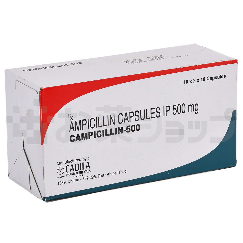 カンピシリン500 MG (CAMPICILLIN 500 MG) 2