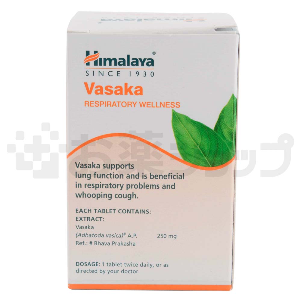 ヴァサカ (VASAKA) 3