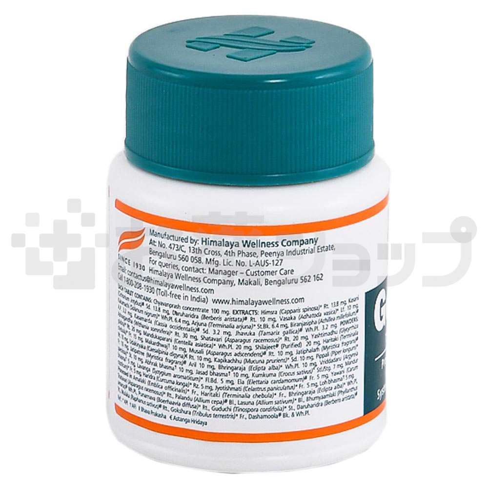 ゲリフォルテ (GERIFORTE) 2