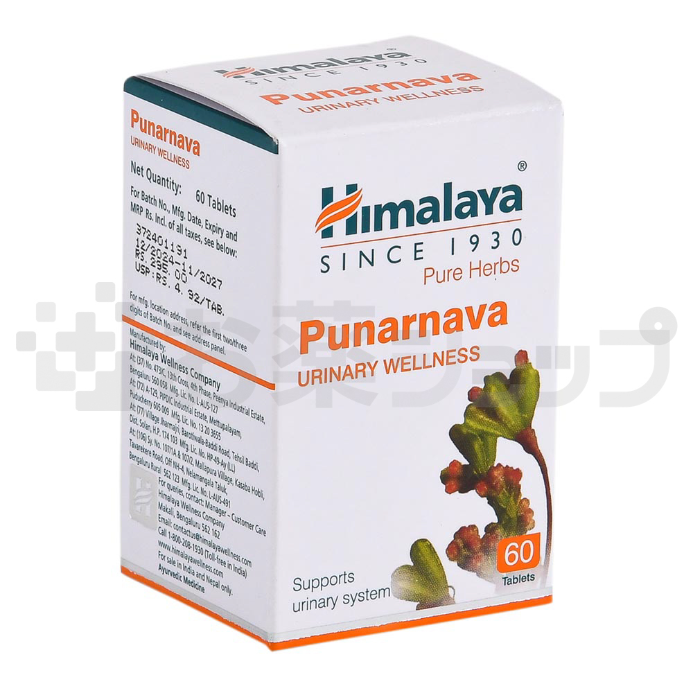 プナルナバ (PUNARNAVA) 2