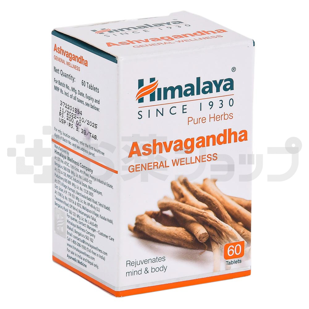 アシュワガンダ (ASHVAGANDHA) 2