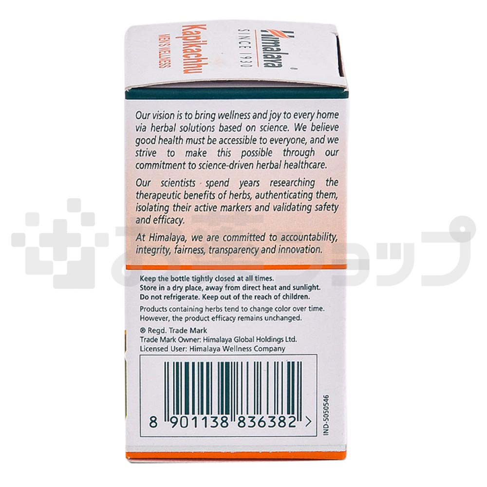 カピカチュ (KAPIKACHHU) 3